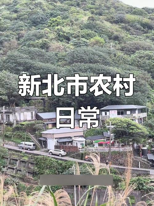 台灣有農村嗎