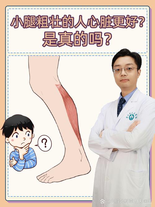 為何小腿是第二個心臟
