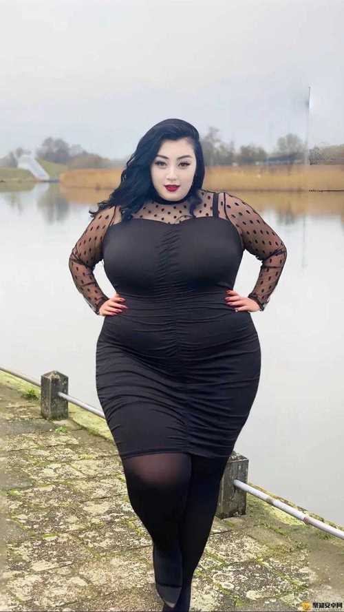 BBW 什麼意思?深入解析這個詞彙的多元意涵與文化視角 1 BBW甚麼意思