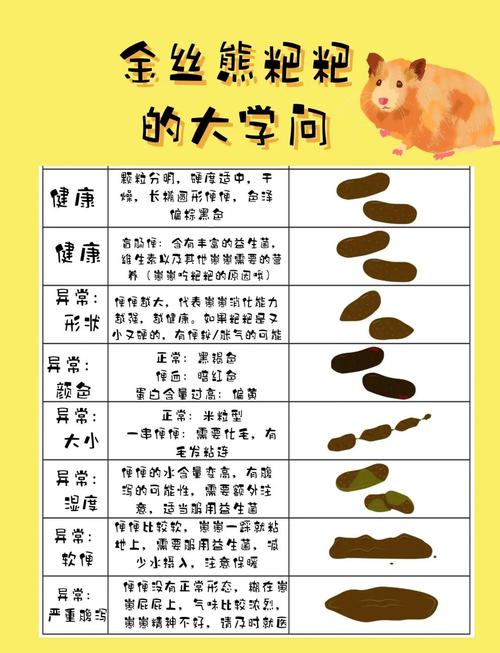 糞便檢查前不能吃什麼?避開這些地雷,讓檢查結果更準確! 3 糞便檢查不能吃什麼