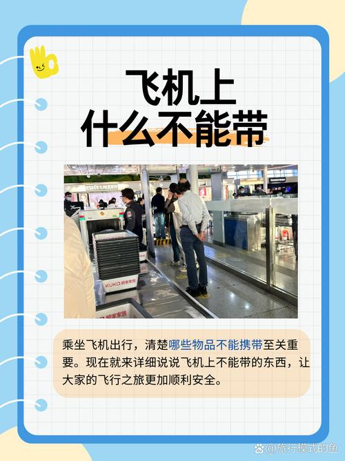 搭飛機可以拿什麼