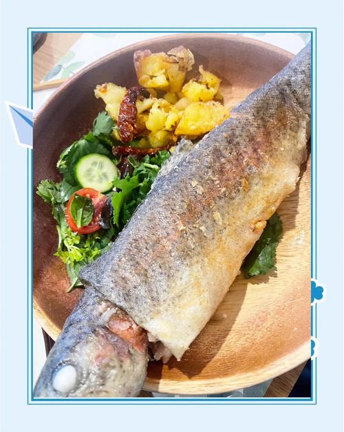 每天都吃鮭魚可以嗎