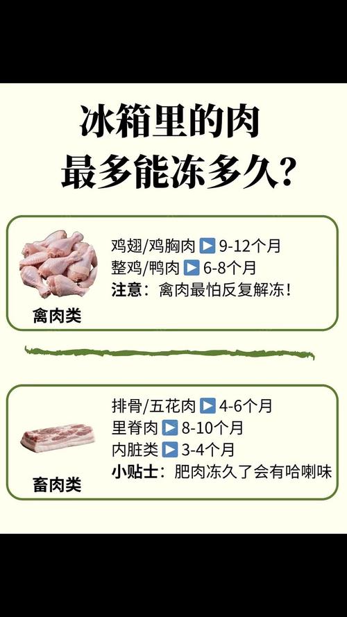 冷凍肉片可以放多久
