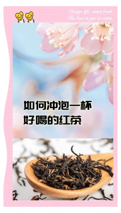 仙女紅茶怎麼泡:黃金比例與絕佳風味的沖泡秘訣 1 仙女紅茶怎麼泡