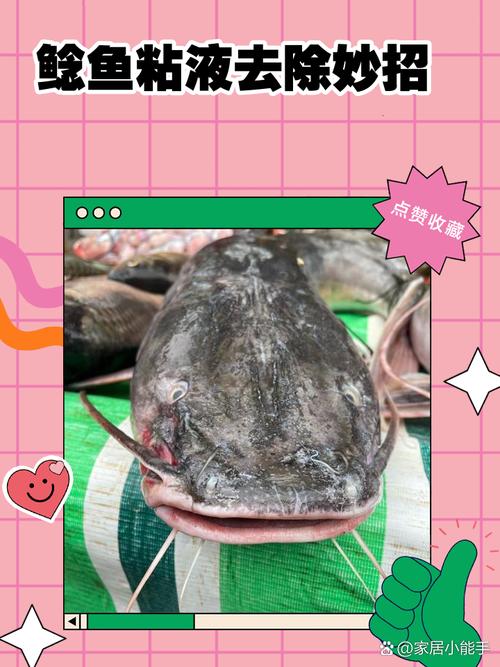 魚的黏液怎麼洗