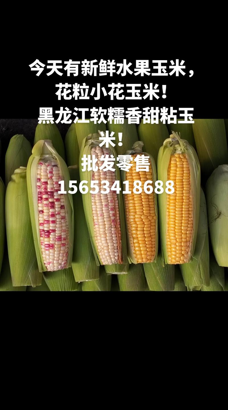 水果玉米跟玉米差在哪