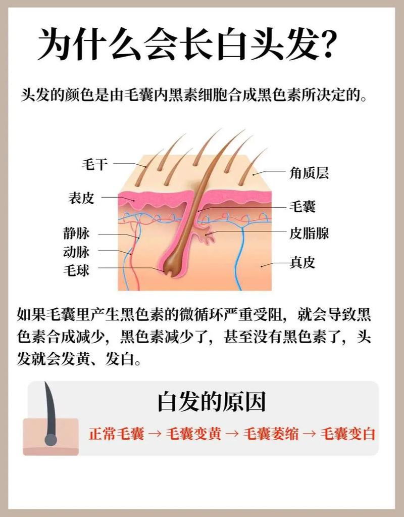 白頭髮缺乏什麼