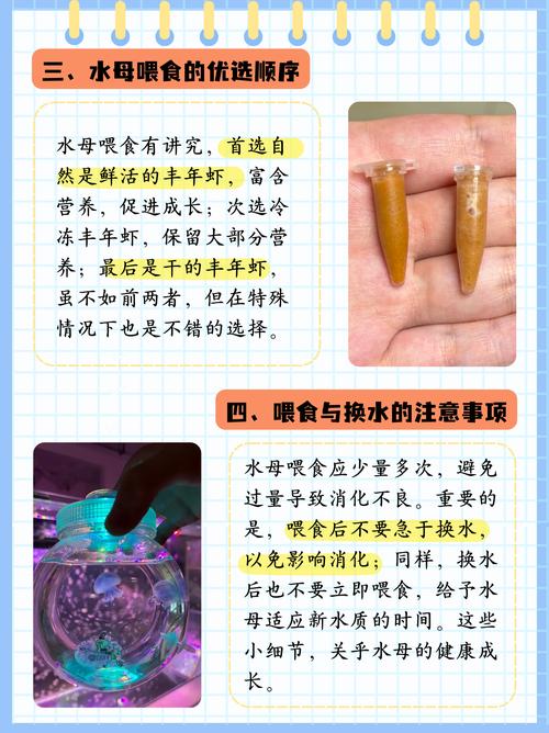水母都吃什麼?揭開牠們餐桌上的奧秘,讓您驚奇不斷! 3 水母都吃什麼