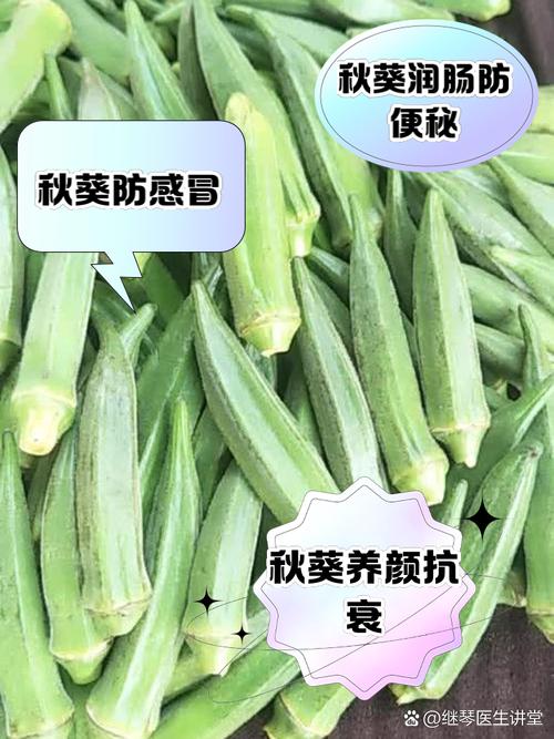 一天可以吃多少秋葵?探究秋葵攝取的黃金比例與健康指南 3 一天可以吃多少秋葵