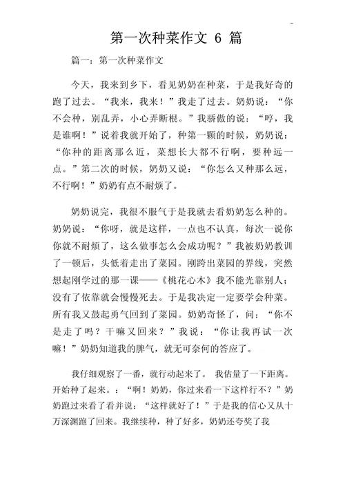 作文第一段寫什麼