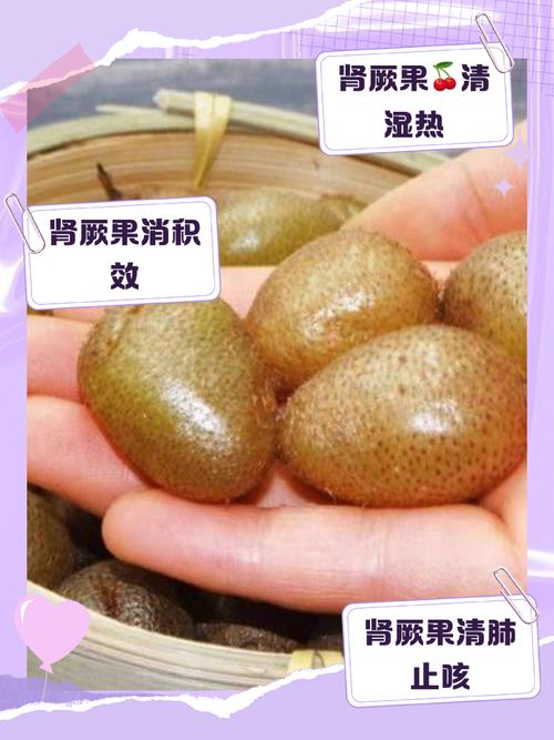 腎臟可以吃堅果嗎