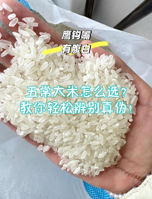 怎麼判斷米有沒有壞掉?掌握這些關鍵指標,讓您安心吃好米! 3 怎麼判斷米有沒有壞掉