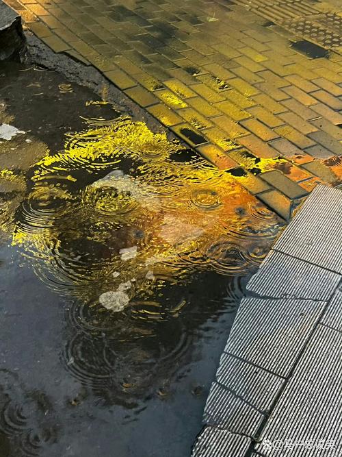 雨水很臭