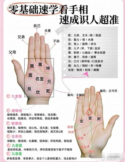掌心共幾集