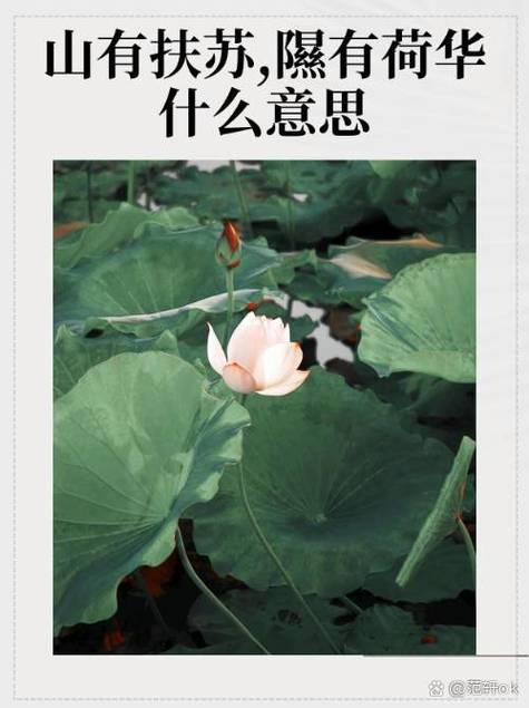 法語蹦啾是什麼意思