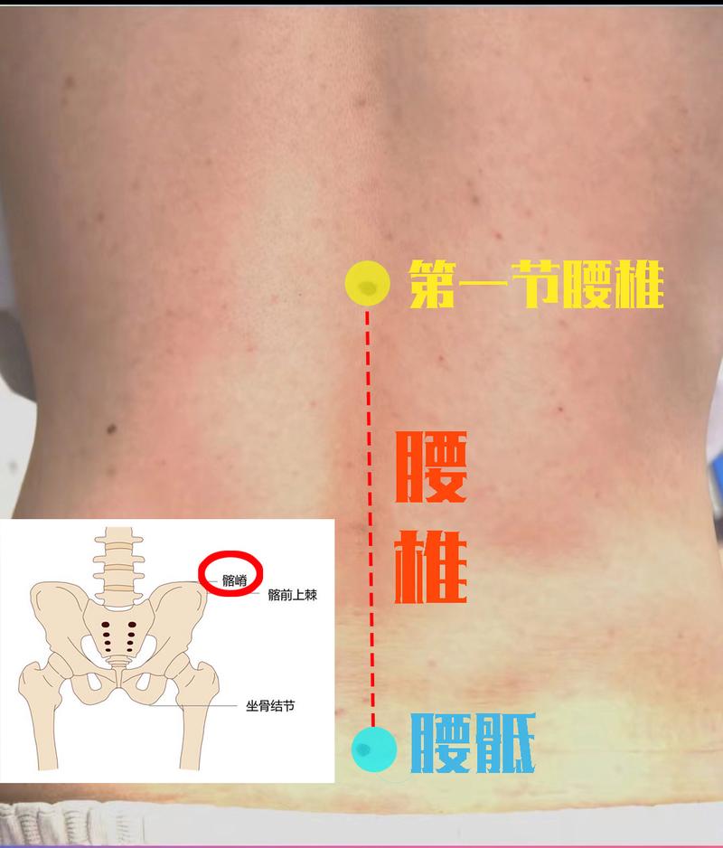 腰的位置