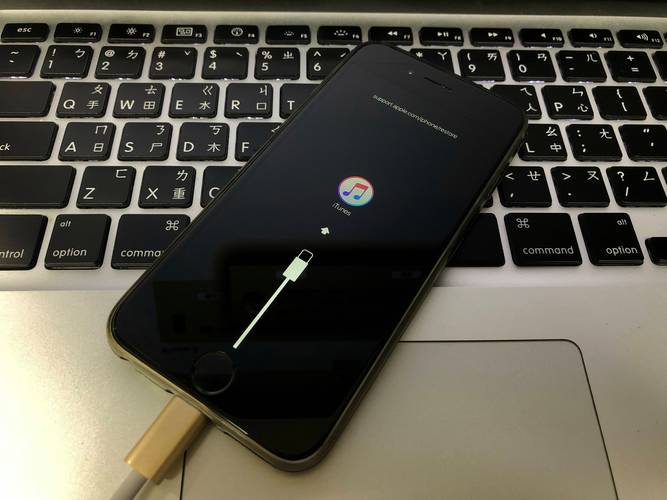 iPhone解鎖要多少錢