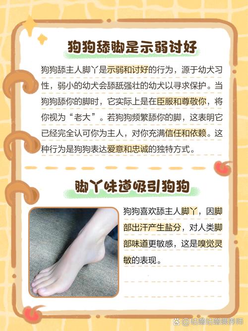 狗為什麼會舔人的腳