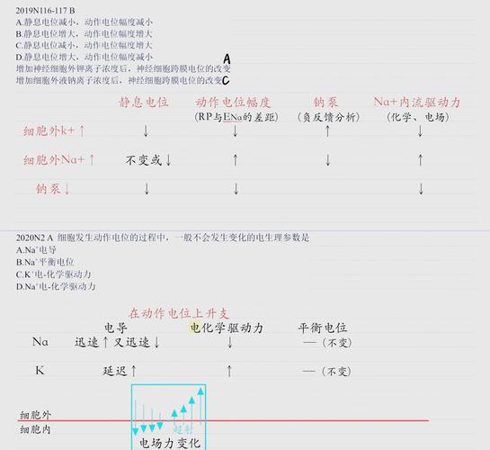 如何產生電位差