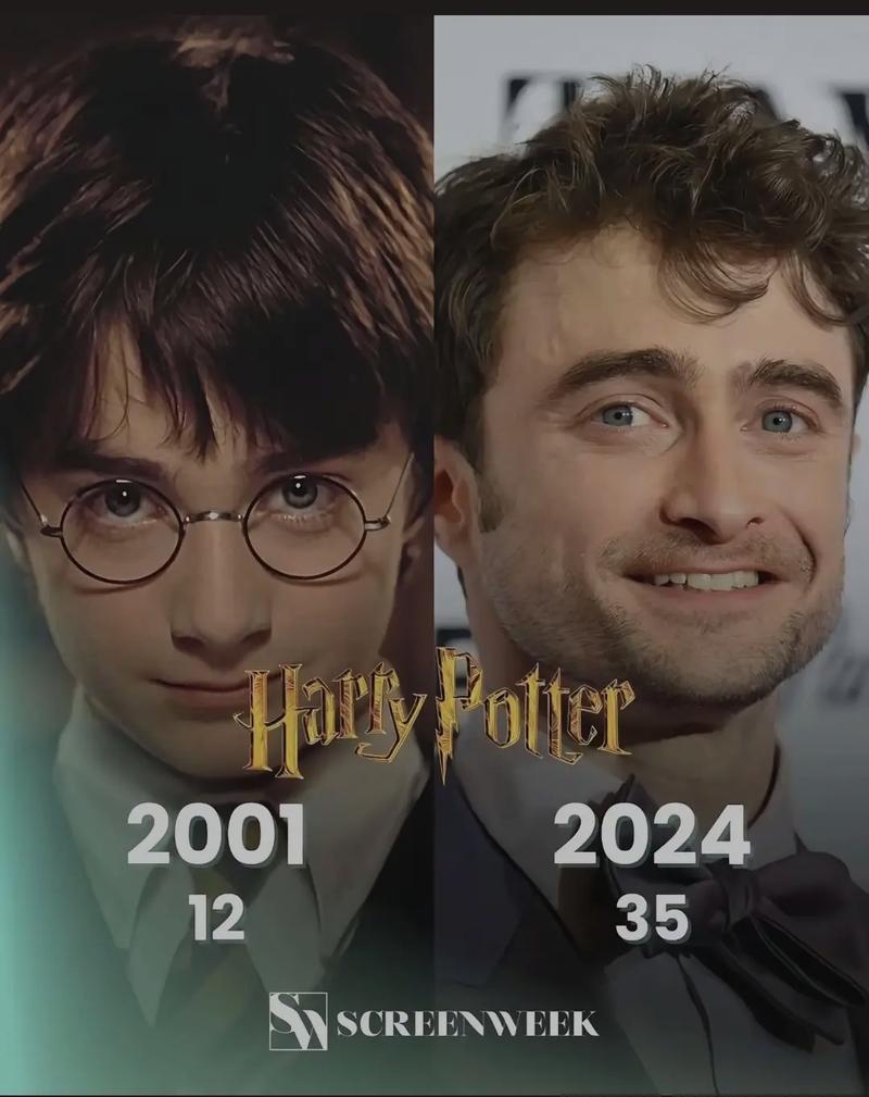 哈利最後跟誰在一起