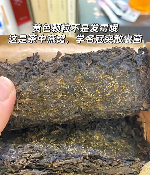 喝到壞掉的茶會怎樣