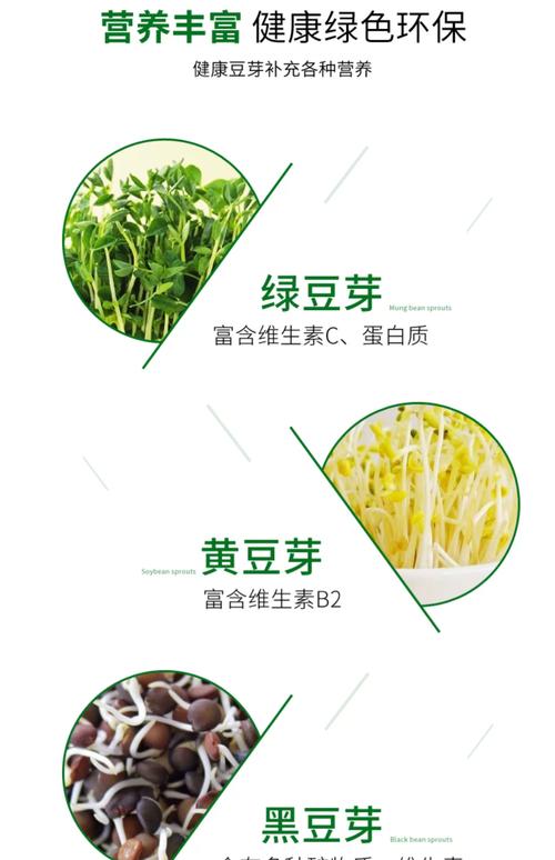 豆芽菜的功效