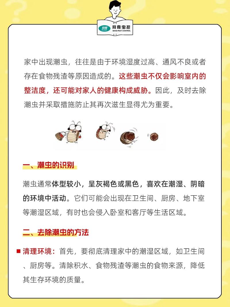房間很多小蟲怎麼辦