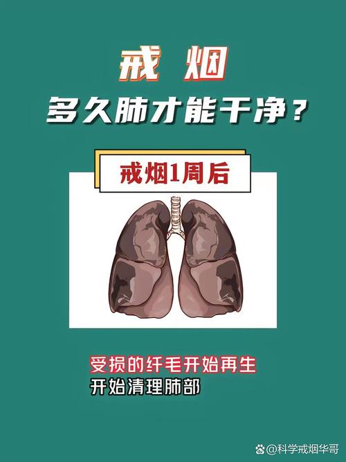 多久沒抽菸才算戒菸成功?破解迷思,掌握真正有效的戒菸時機與策略 3 多久沒抽菸才算戒菸成功