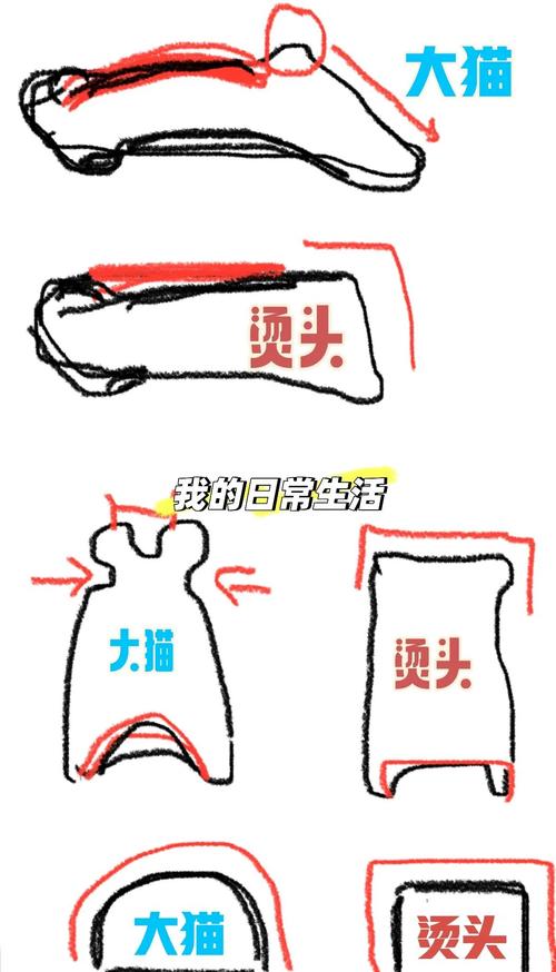 虎掌是哪個部位