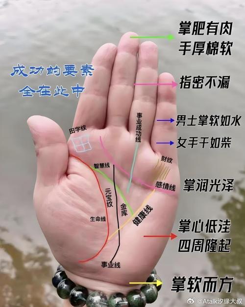 女生手相看哪一手