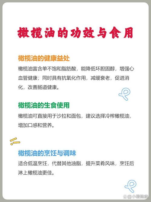 橄欖油可以每天吃嗎