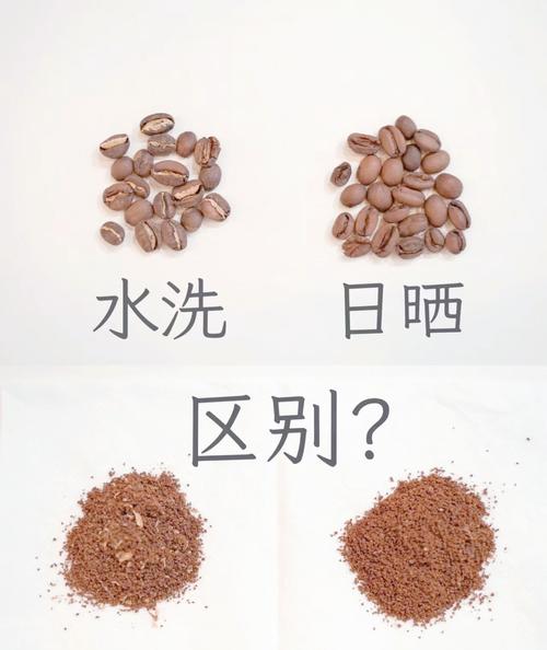 咖啡豆日曬跟水洗的差別