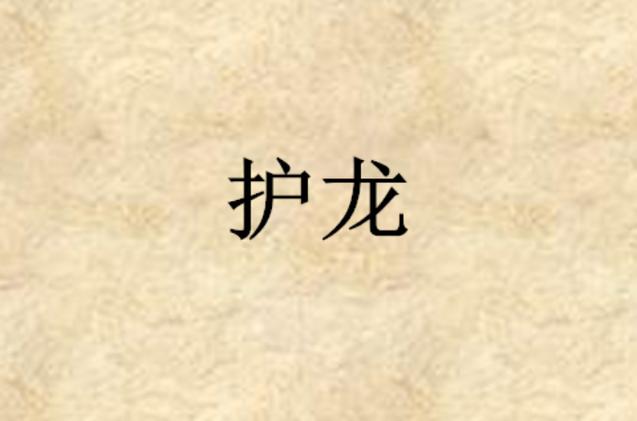 護龍是什麼