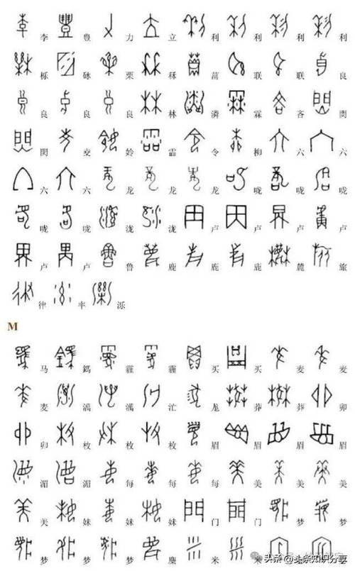 甲骨文什麼朝代