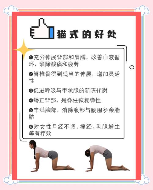 大貓式怎麼做:打造專屬於你的療癒系居家風格 3 大貓式怎麼做