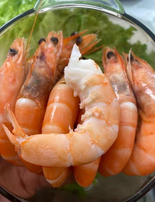白蝦怎麼抓