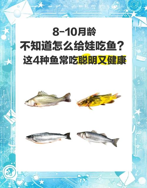 bb可以吃什麼魚