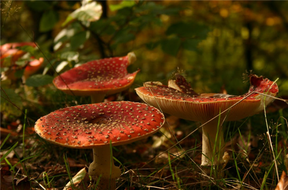 簡守信幾歲?年齡、人生軌跡與專業洞見深度剖析 1 簡守信幾歲