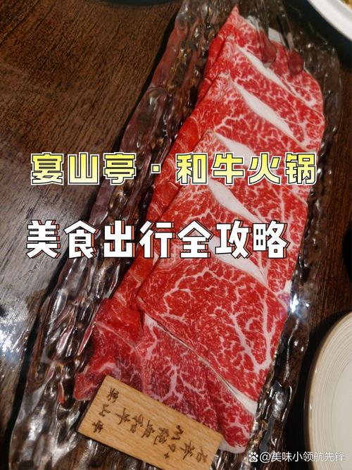 beef shank是哪裡