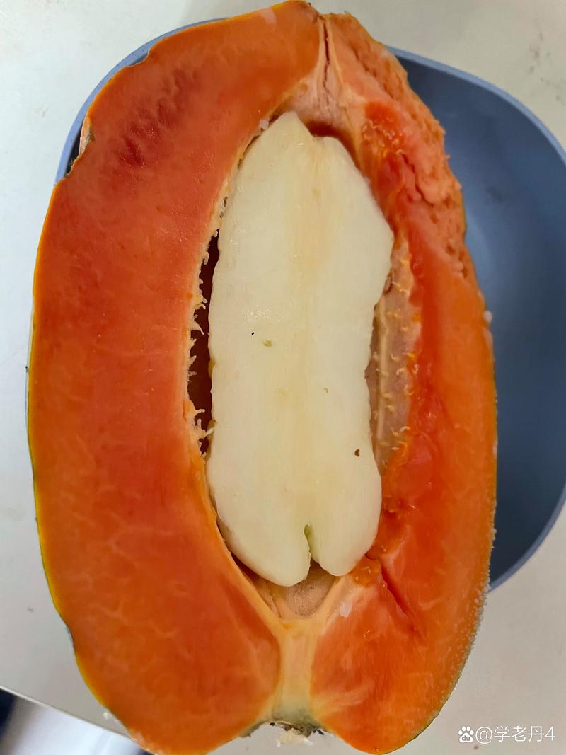 木瓜為什麼沒有籽?揭開無籽木瓜的奧秘與美味 1 木瓜為什麼沒有籽