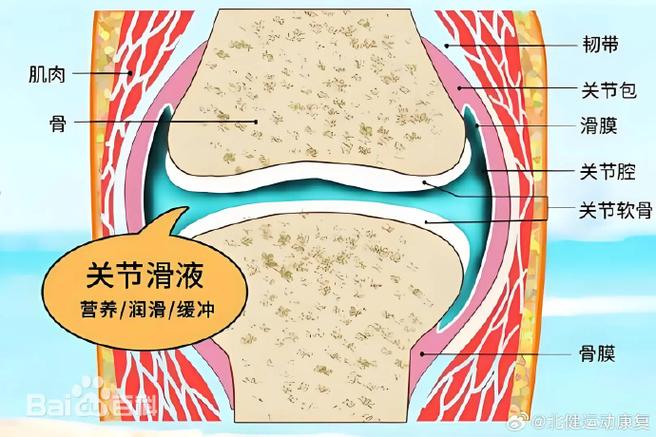 怎麼看膝蓋積水