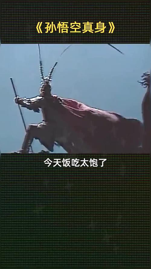 孫悟空是從石頭蹦出來的嗎