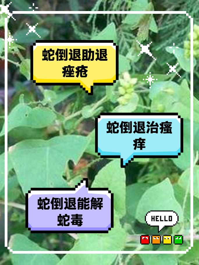 皮蛇可以泡溫泉嗎