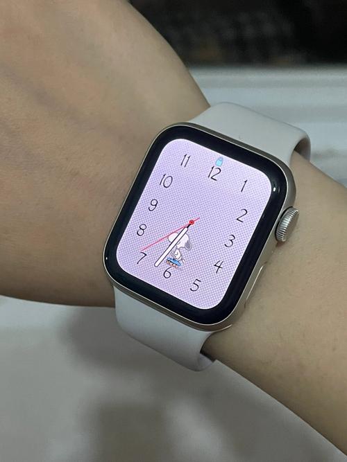 AppleWatch有鬧鐘嗎