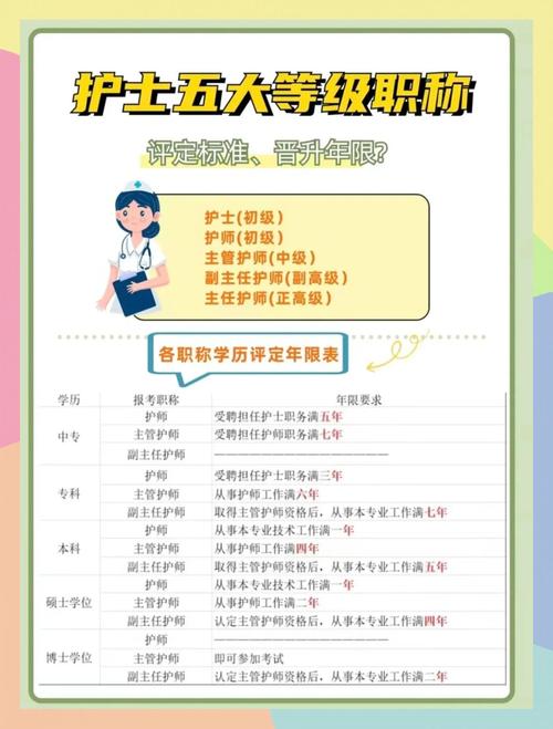 護理師N1是什麼