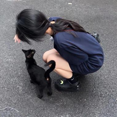 什麼樣的女生像貓