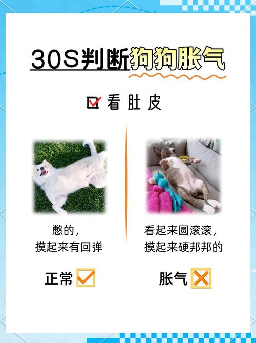 狗狗味道很重怎麼辦