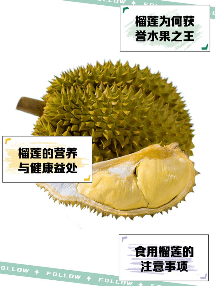 為什麼榴蓮是水果之王