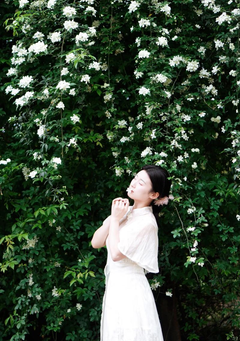 荼蘼花