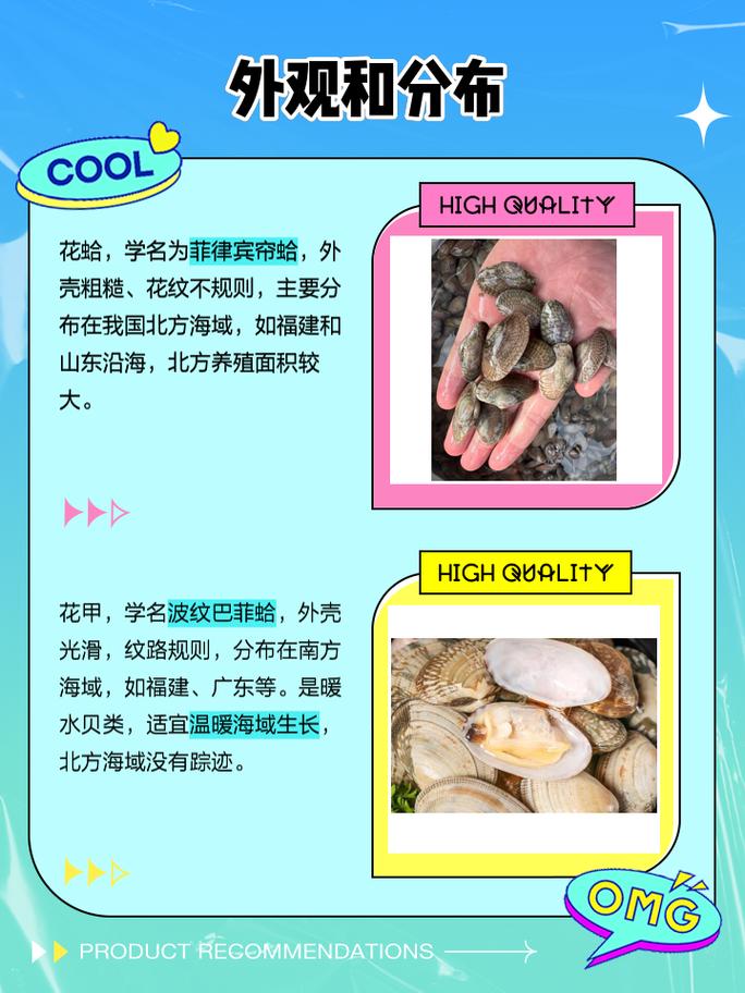 甲狀腺可以吃蛤蜊嗎